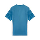 CAMISOLA DO PALMEIRAS 25/26 GUARDA REDES